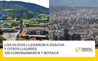LOS OLIVOS LLEGARON A SOACHA Y OTROS  LUGARES EN CUNDINAMARCA Y BOYACA