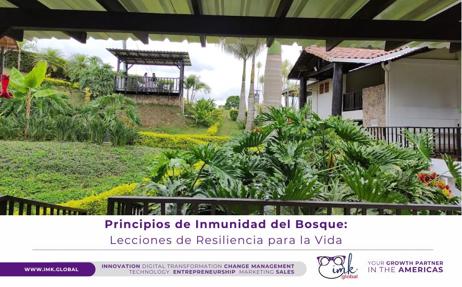 Principios de Inmunidad del Bosque: Lecciones de Resiliencia para la Vida